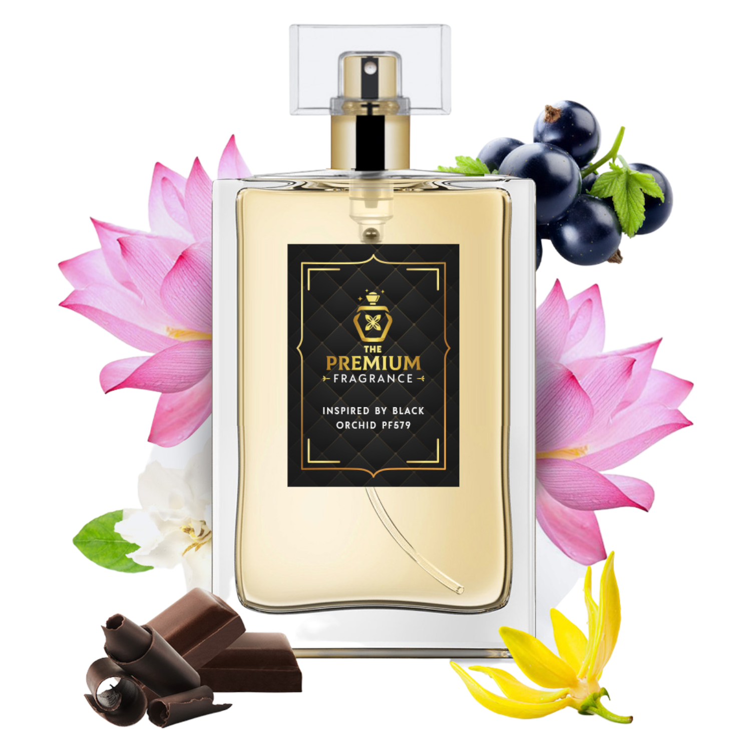 Perfumes like black orchid hotsell